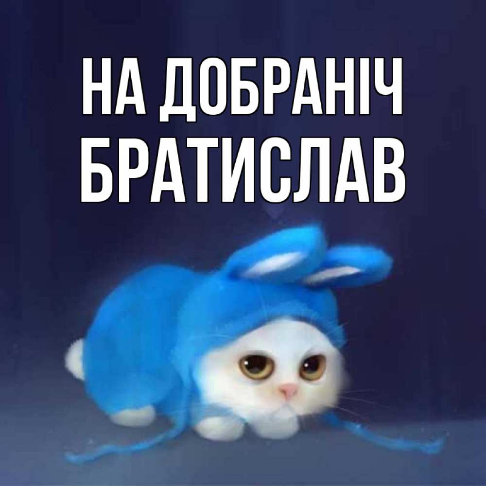 Открытка на каждый день з підписом, Братислав На добраніч кот в голубом костюме кролика с ушками Прикольна листівка з побажанням онлайн скачати безкоштовно 