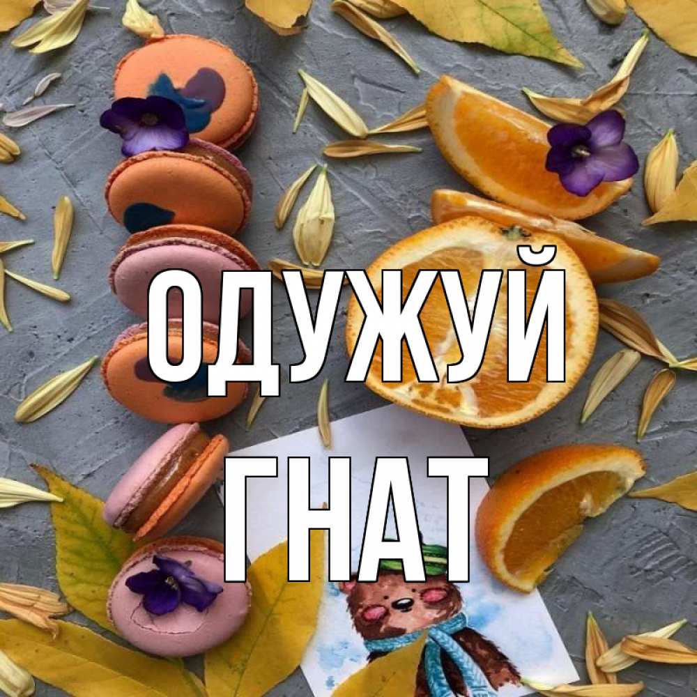 Открытка на каждый день з підписом, Гнат Одужуй не болейте Прикольна листівка з побажанням онлайн скачати безкоштовно 