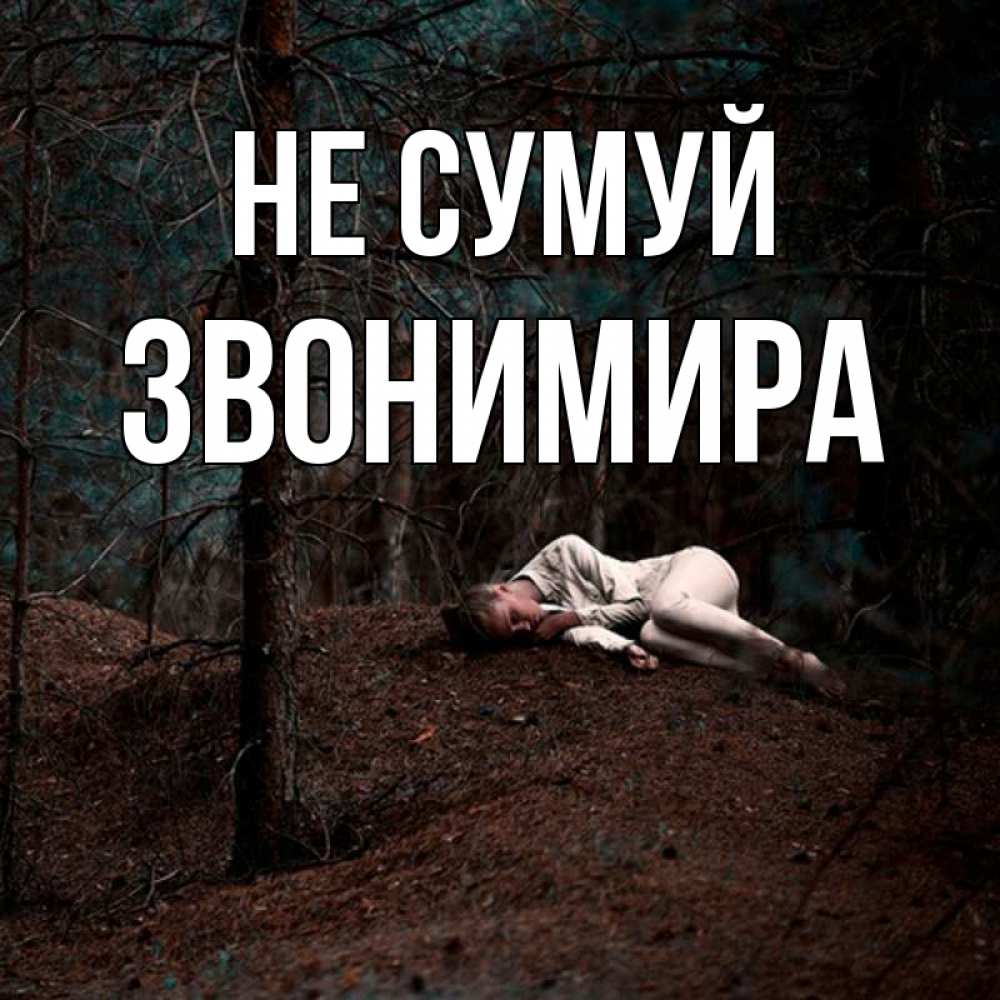 Открытка на каждый день з підписом, Звонимира Не сумуй лес Прикольна листівка з побажанням онлайн скачати безкоштовно 