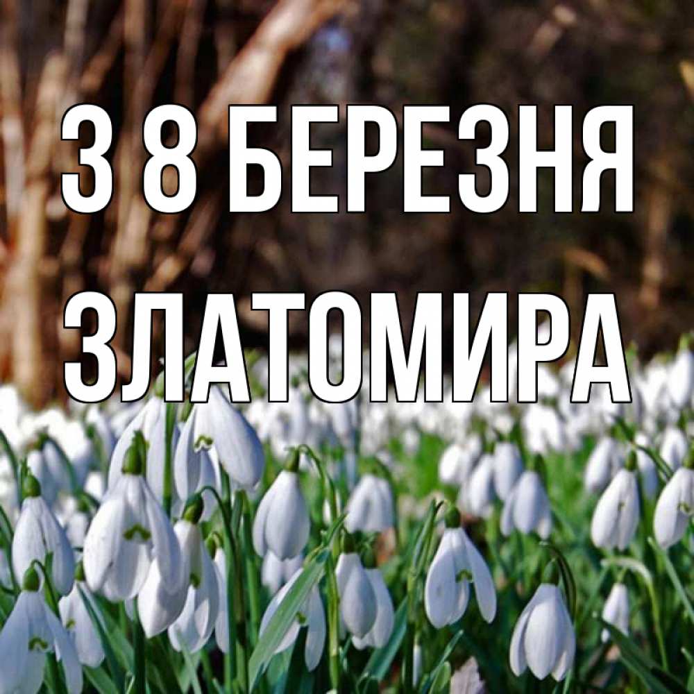 Открытка на каждый день з підписом, Златомира З 8 БЕРЕЗНЯ с подснежниками 1 Прикольна листівка з побажанням онлайн скачати безкоштовно 