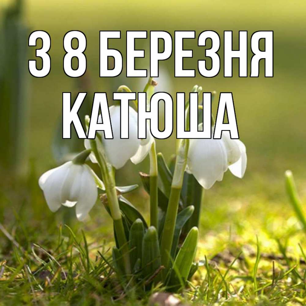 Открытка на каждый день з підписом, Катюша З 8 БЕРЕЗНЯ ранние цветы 2 Прикольна листівка з побажанням онлайн скачати безкоштовно 