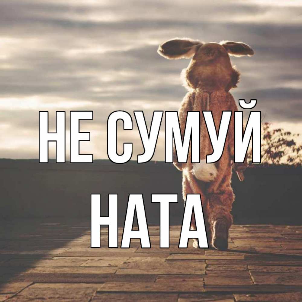 Открытка на каждый день з підписом, Ната Не сумуй со спины Прикольна листівка з побажанням онлайн скачати безкоштовно 