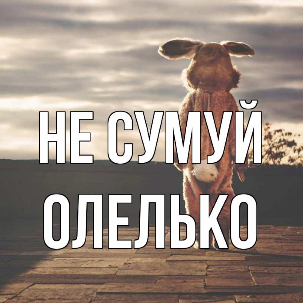 Открытка на каждый день з підписом, Олелько Не сумуй со спины Прикольна листівка з побажанням онлайн скачати безкоштовно 