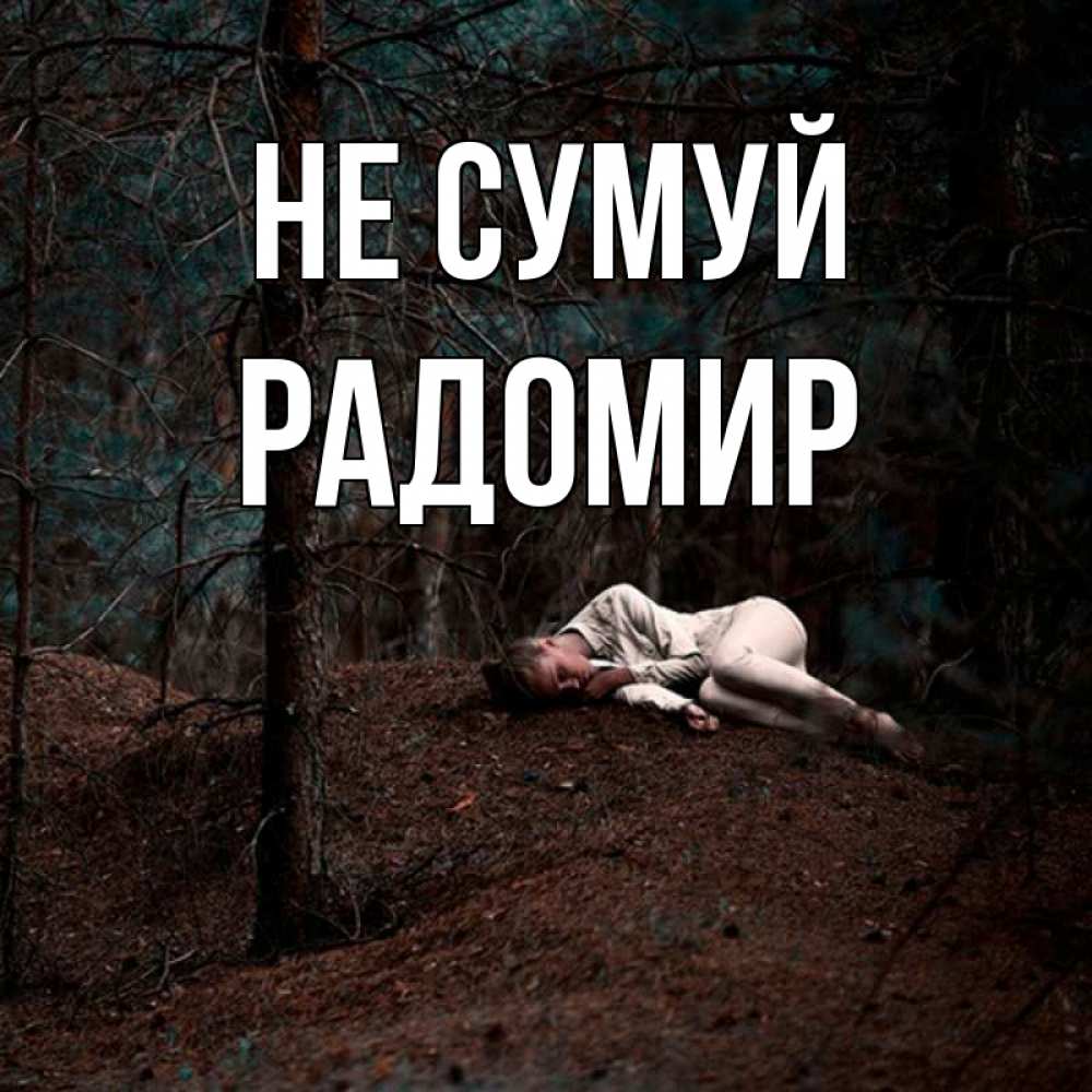 Открытка на каждый день з підписом, Радомир Не сумуй лес Прикольна листівка з побажанням онлайн скачати безкоштовно 