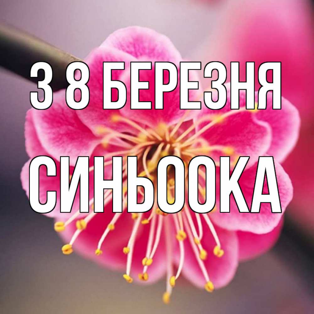 Открытка на каждый день з підписом, Синьоока З 8 БЕРЕЗНЯ цветы Прикольна листівка з побажанням онлайн скачати безкоштовно 