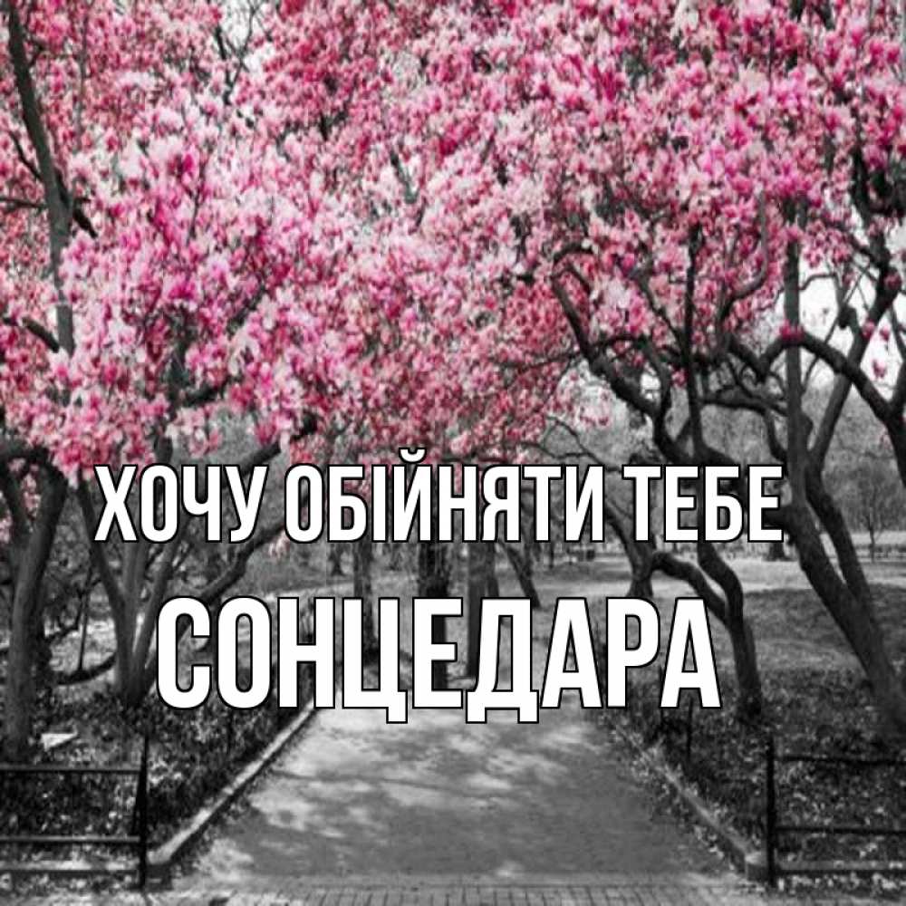 Открытка на каждый день з підписом, Сонцедара Хочу обійняти тебе обработанное фото Прикольна листівка з побажанням онлайн скачати безкоштовно 