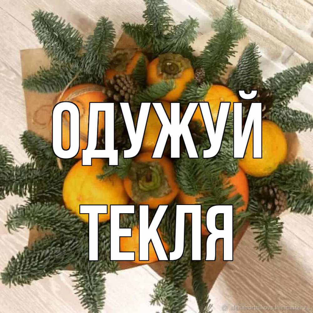 Открытка на каждый день з підписом, Текля Одужуй апельсины и хурьма Прикольна листівка з побажанням онлайн скачати безкоштовно 