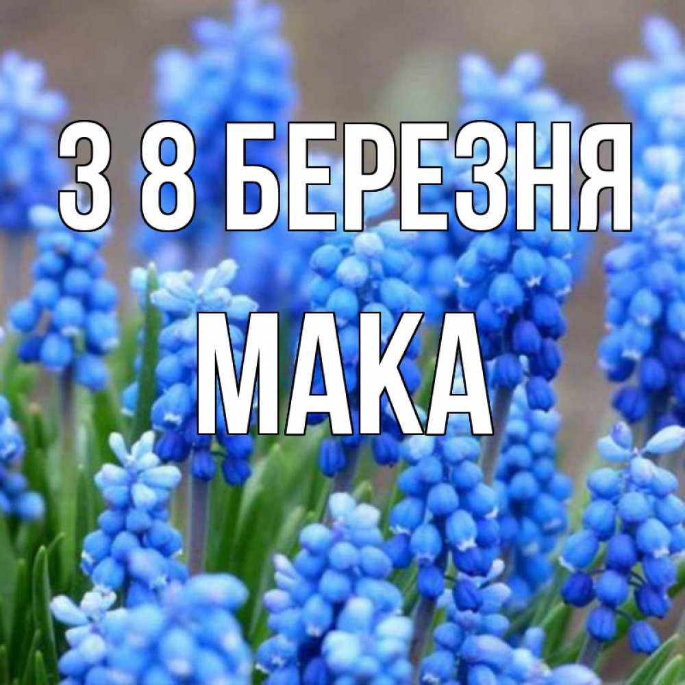 Открытка на каждый день з підписом, Мака З 8 БЕРЕЗНЯ Поздравительная открытка для женщин с цветами на праздничную дату Прикольна листівка з побажанням онлайн скачати безкоштовно 