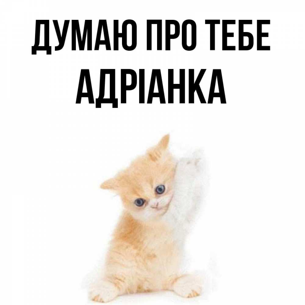 Открытка на каждый день з підписом, Адріанка Думаю про тебе зверушки и милота Прикольна листівка з побажанням онлайн скачати безкоштовно 