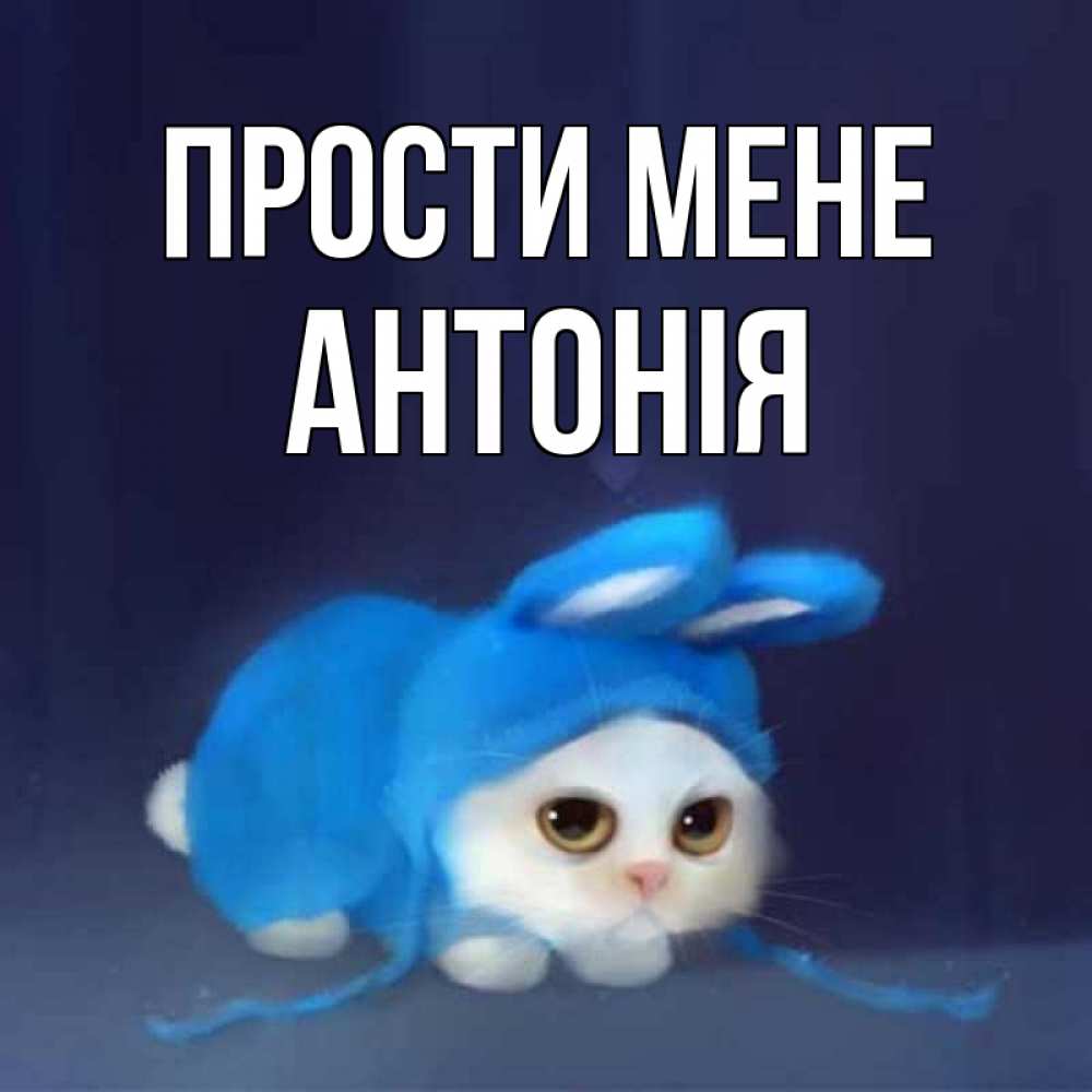 Открытка на каждый день з підписом, Антонія Прости мене невинный котозай просит прощения Прикольна листівка з побажанням онлайн скачати безкоштовно 