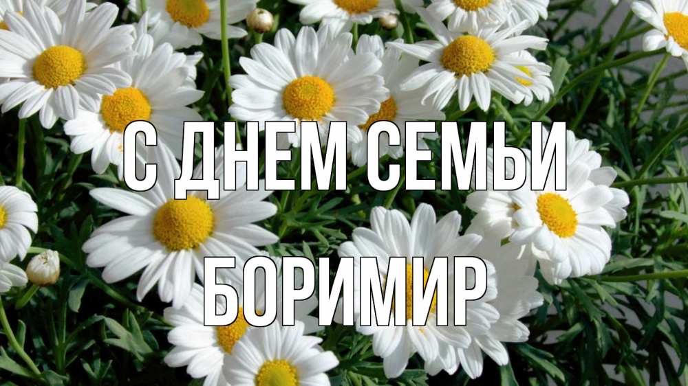 Открытка на каждый день з підписом, Боримир С днем семьи с днем семьи Прикольна листівка з побажанням онлайн скачати безкоштовно 