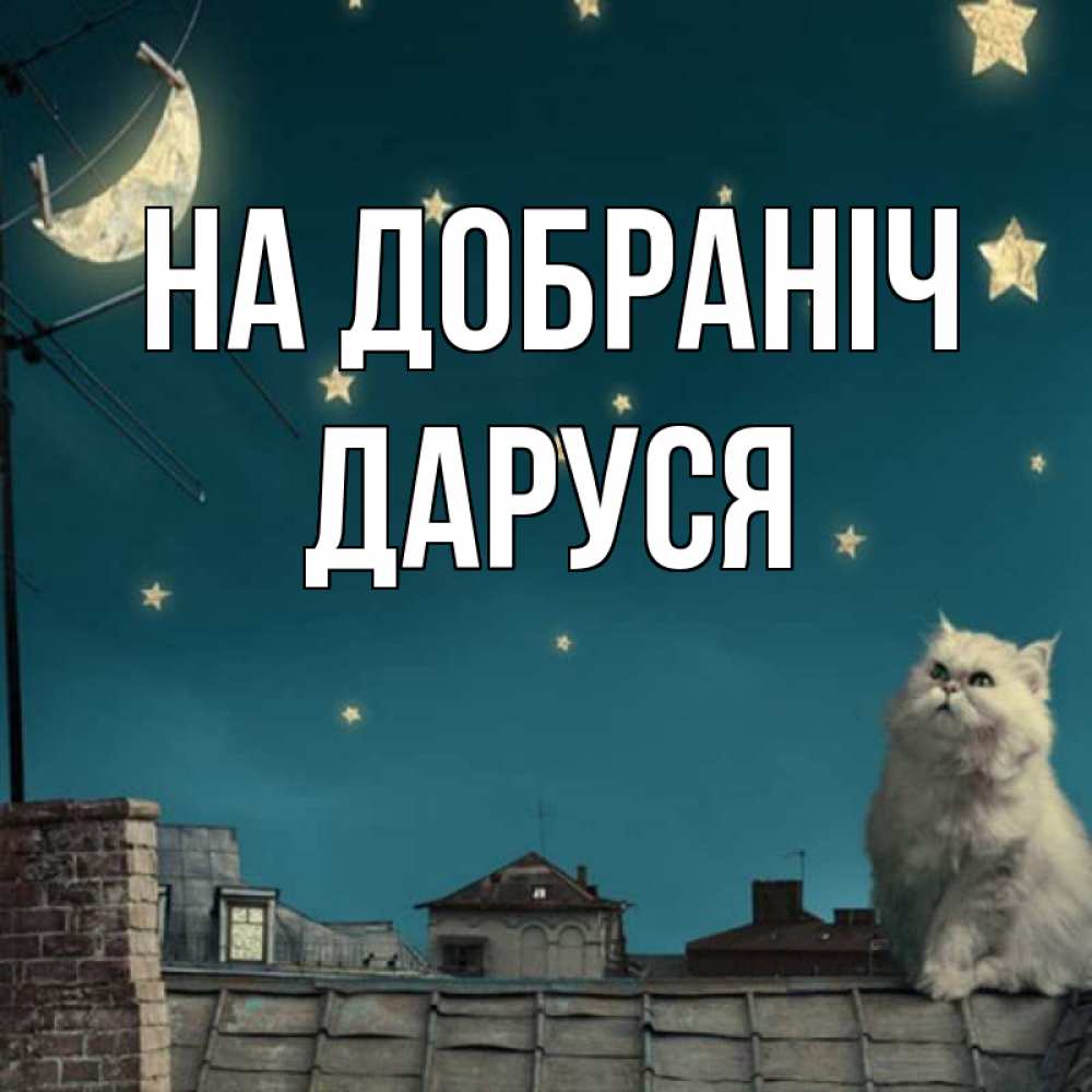 Открытка на каждый день з підписом, Даруся На добраніч белый кот сидит на крыше Прикольна листівка з побажанням онлайн скачати безкоштовно 