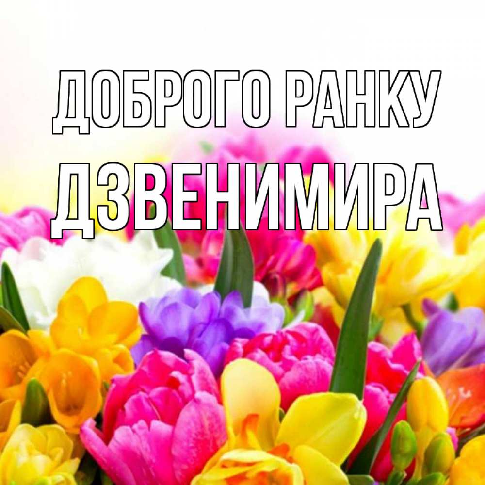 Открытка на каждый день з підписом, Дзвенимира Доброго ранку создать открытку со свое подписью Прикольна листівка з побажанням онлайн скачати безкоштовно 