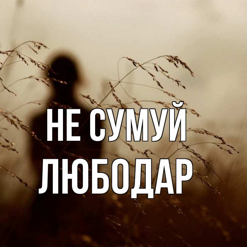 Открытка на каждый день з підписом, Любодар Не сумуй грусть Прикольна листівка з побажанням онлайн скачати безкоштовно 