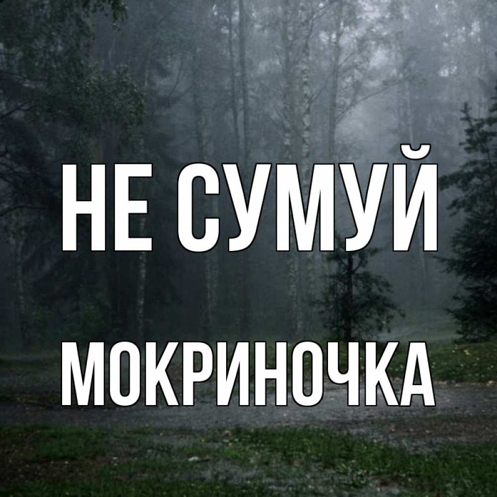 Открытка на каждый день з підписом, Мокриночка Не сумуй осень Прикольна листівка з побажанням онлайн скачати безкоштовно 