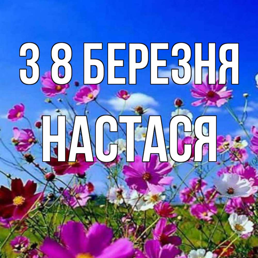 Открытка на каждый день з підписом, Настася З 8 БЕРЕЗНЯ цветы Прикольна листівка з побажанням онлайн скачати безкоштовно 