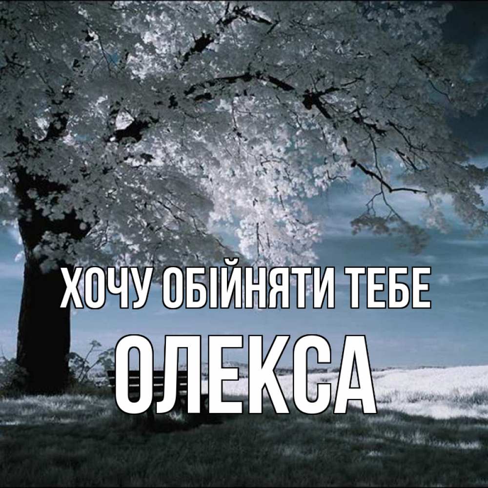 Открытка на каждый день з підписом, Олекса Хочу обійняти тебе дерево Прикольна листівка з побажанням онлайн скачати безкоштовно 