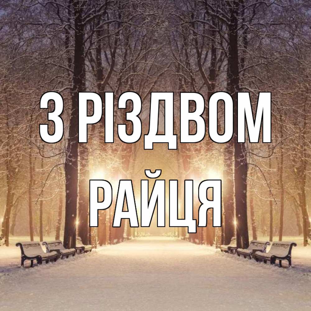 Открытка на каждый день з підписом, Райця З Різдвом зима, парк, фонарь, лес Прикольна листівка з побажанням онлайн скачати безкоштовно 