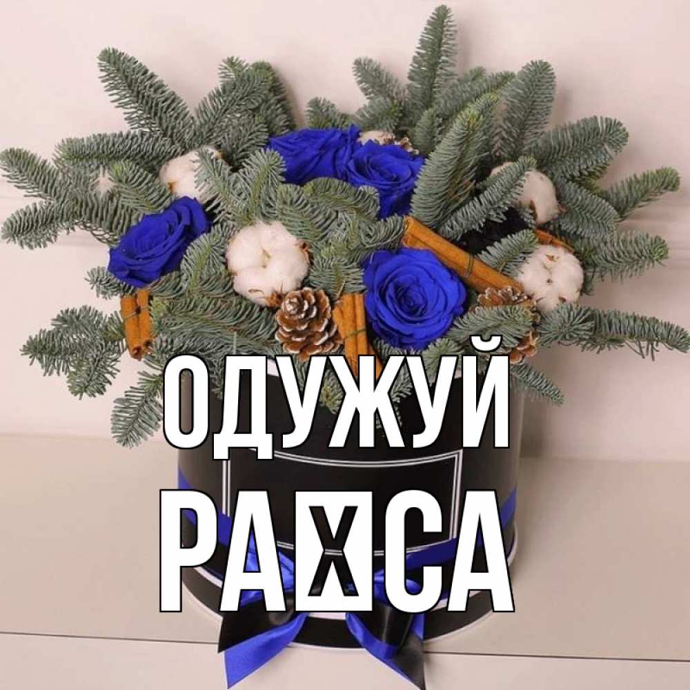 Открытка на каждый день з підписом, Раїса Одужуй короче кто то загрузил эти шишки Прикольна листівка з побажанням онлайн скачати безкоштовно 