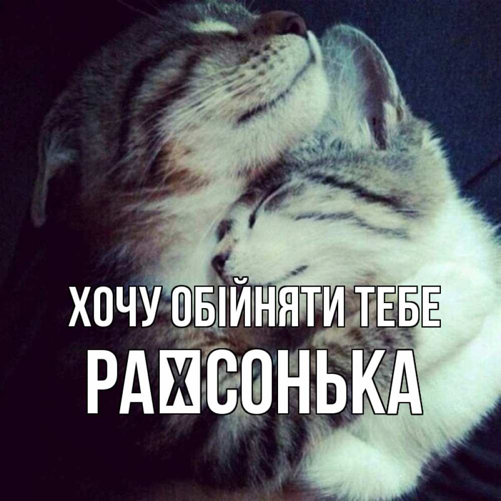 Открытка на каждый день з підписом, Раїсонька Хочу обійняти тебе полосатики Прикольна листівка з побажанням онлайн скачати безкоштовно 