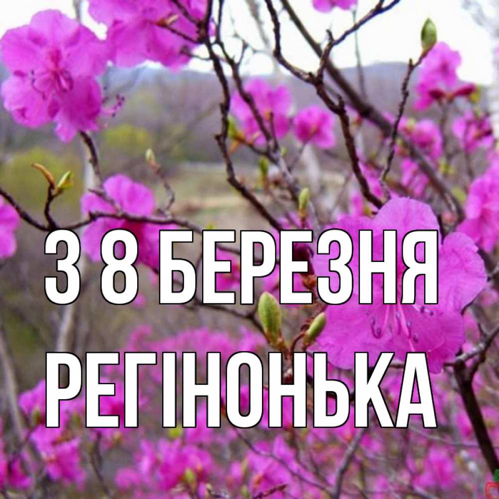 Открытка на каждый день з підписом, Регінонька З 8 БЕРЕЗНЯ международный женский день Прикольна листівка з побажанням онлайн скачати безкоштовно 
