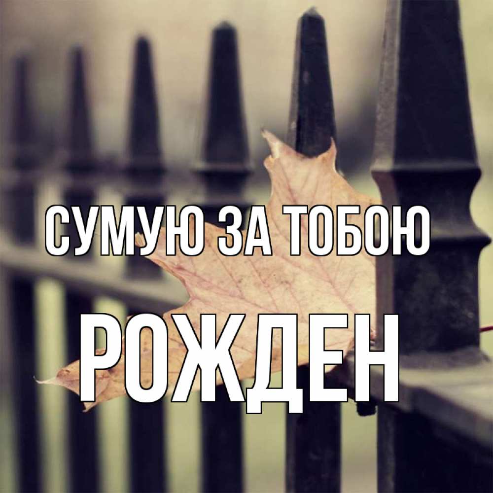 Открытка на каждый день з підписом, Рожден Сумую за тобою очень скучно Прикольна листівка з побажанням онлайн скачати безкоштовно 