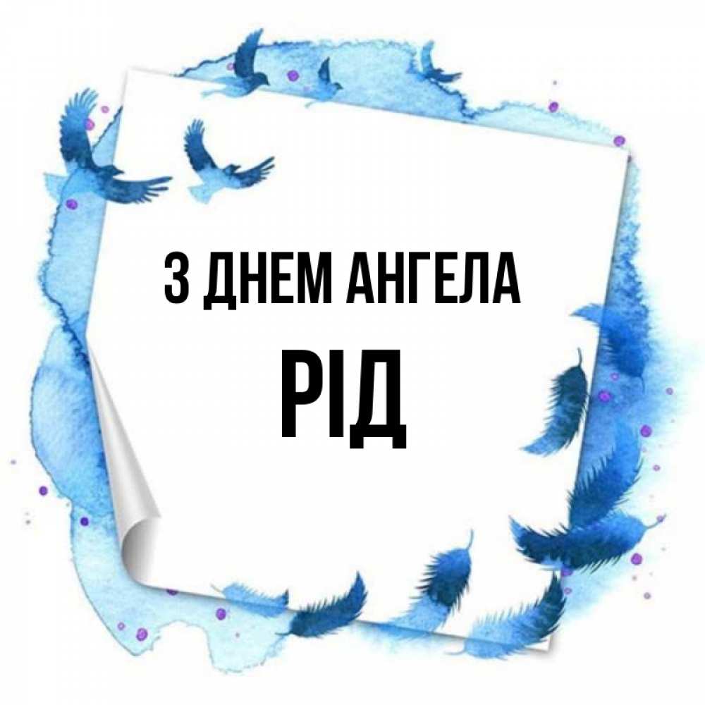 Открытка на каждый день з підписом, Рід З Днем ангела красивые птицы летят Прикольна листівка з побажанням онлайн скачати безкоштовно 