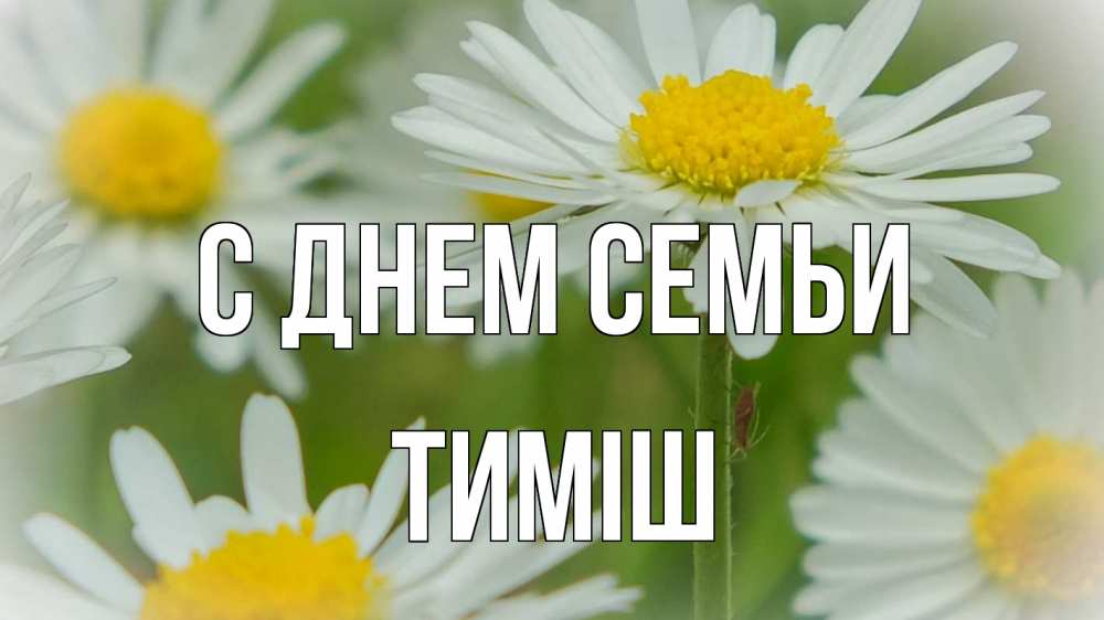 Открытка на каждый день з підписом, Тиміш С днем семьи с днем семьи  1 Прикольна листівка з побажанням онлайн скачати безкоштовно 