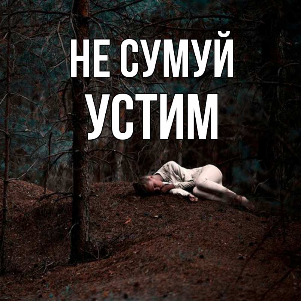 Открытка на каждый день з підписом, Устим Не сумуй лес Прикольна листівка з побажанням онлайн скачати безкоштовно 