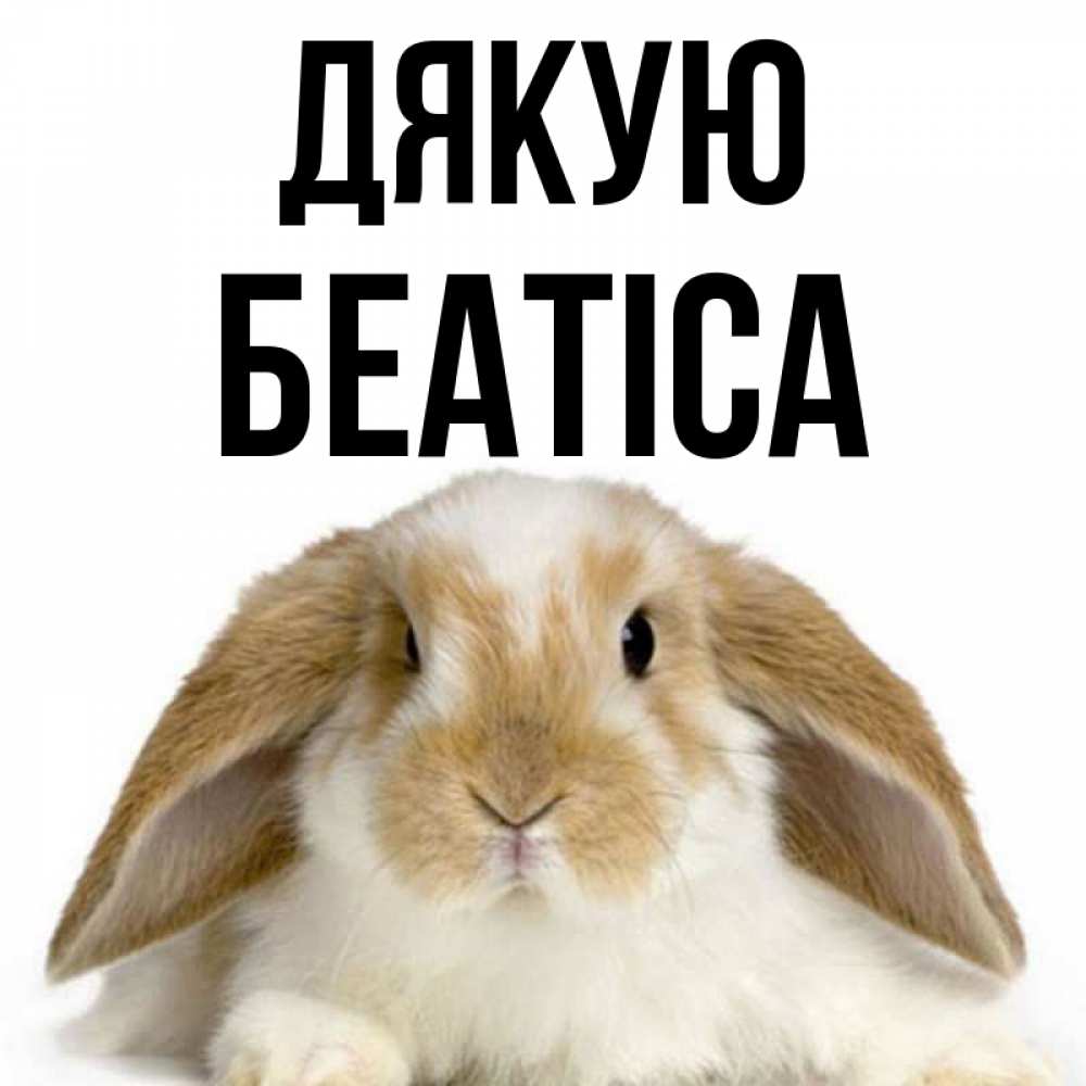 Открытка на каждый день з підписом, Беатіса Дякую коричнево белый заяц Прикольна листівка з побажанням онлайн скачати безкоштовно 