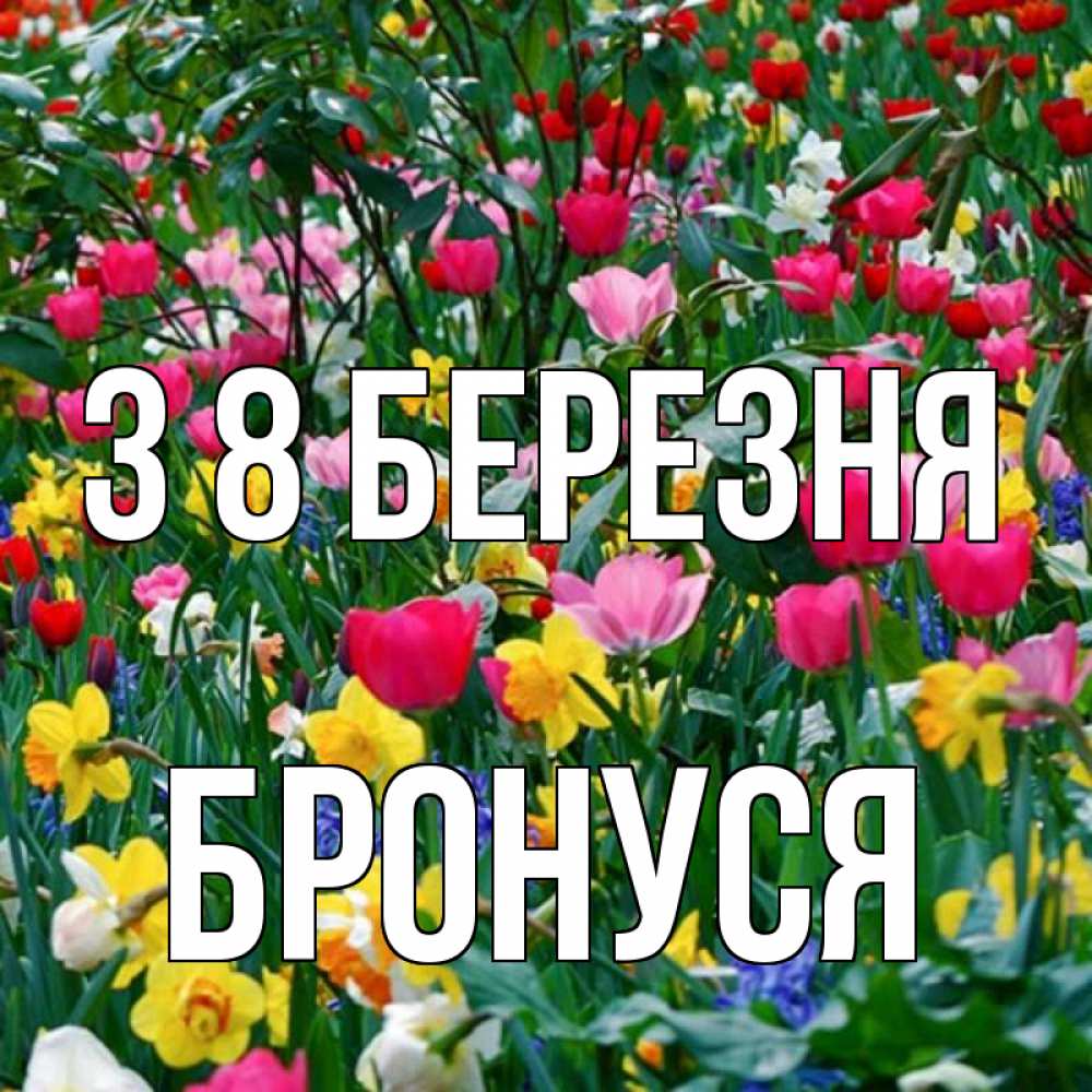 Открытка на каждый день з підписом, Бронуся З 8 БЕРЕЗНЯ с международным женским днем поздравления для женщины Прикольна листівка з побажанням онлайн скачати безкоштовно 