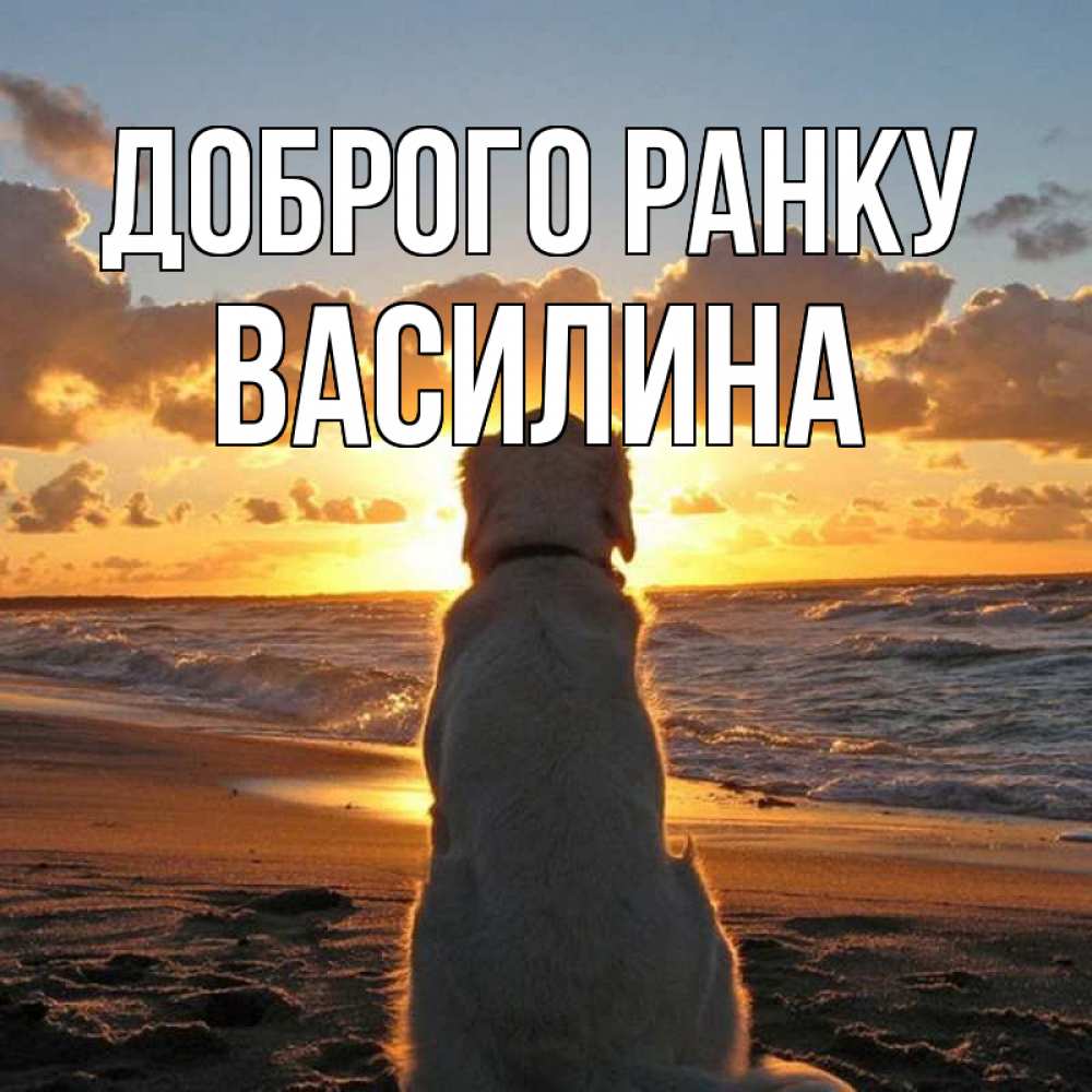 Открытка на каждый день з підписом, Василина Доброго ранку восход солнца Прикольна листівка з побажанням онлайн скачати безкоштовно 