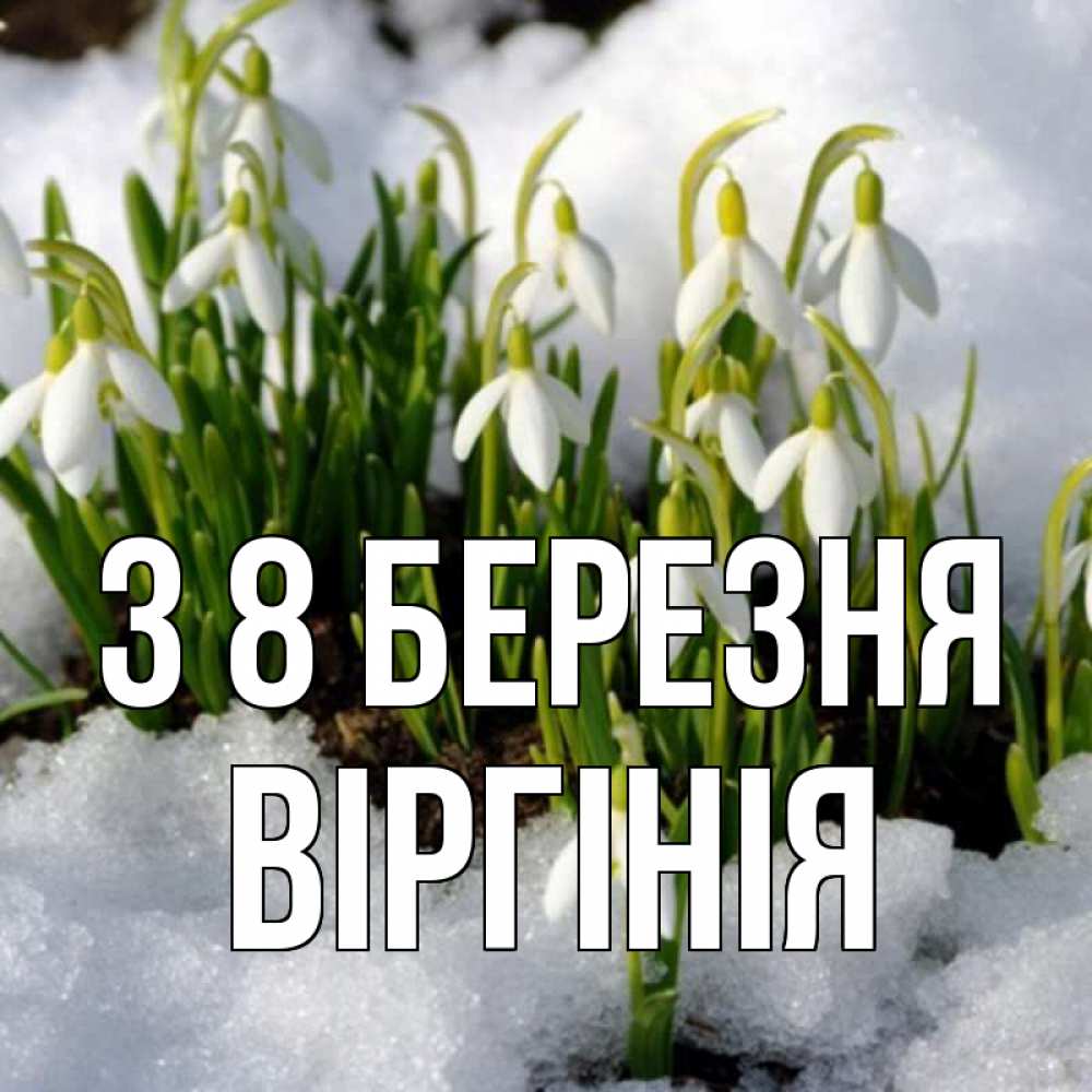 Открытка на каждый день з підписом, Віргінія З 8 БЕРЕЗНЯ цветы весенние Прикольна листівка з побажанням онлайн скачати безкоштовно 