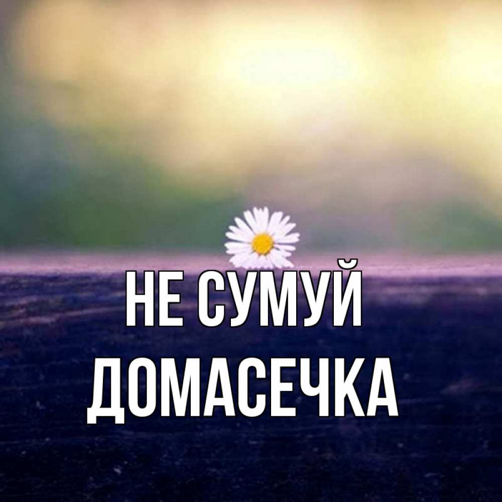 Открытка на каждый день з підписом, Домасечка Не сумуй красота Прикольна листівка з побажанням онлайн скачати безкоштовно 