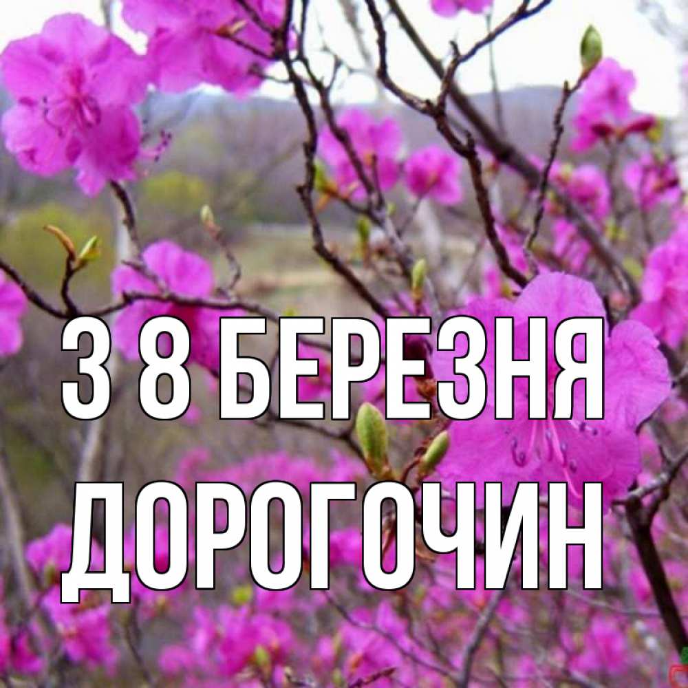 Открытка на каждый день з підписом, Дорогочин З 8 БЕРЕЗНЯ международный женский день Прикольна листівка з побажанням онлайн скачати безкоштовно 