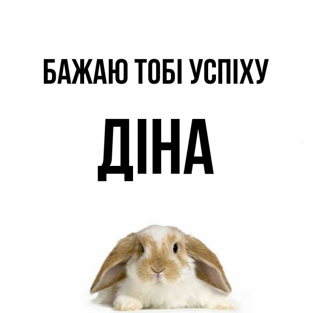 Открытка на каждый день з підписом, Діна Бажаю тобі успіху открытки с произвольным текстом который можно вставить в открытку и создать ее самостоятельно бесплатно онлайн Прикольна листівка з побажанням онлайн скачати безкоштовно 