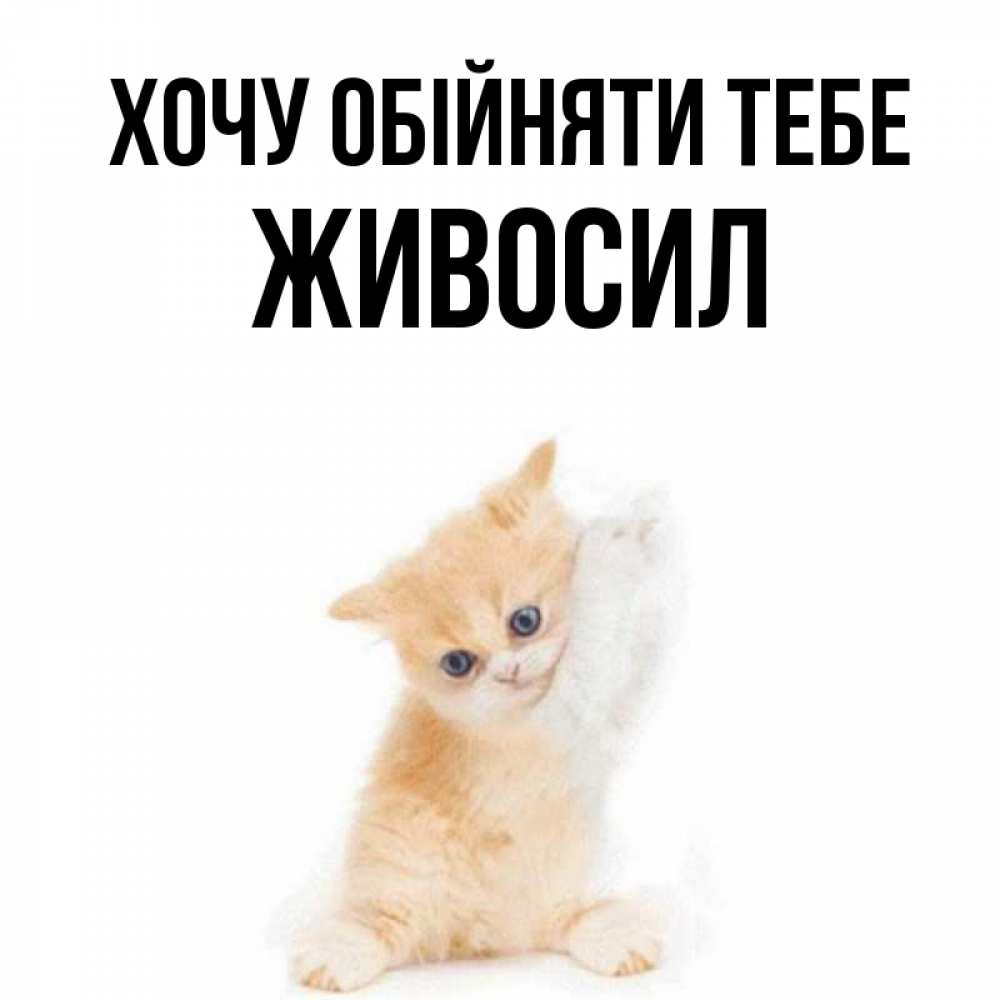 Открытка на каждый день з підписом, Живосил Хочу обійняти тебе я хочу очень скорее обнимаешек Прикольна листівка з побажанням онлайн скачати безкоштовно 