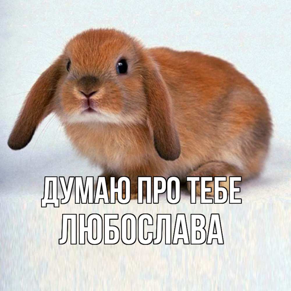 Открытка на каждый день з підписом, Любослава Думаю про тебе кроль коричневый Прикольна листівка з побажанням онлайн скачати безкоштовно 