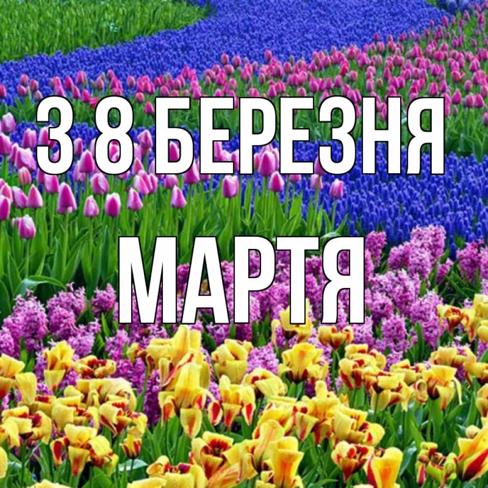 Открытка на каждый день з підписом, Мартя З 8 БЕРЕЗНЯ цветы Прикольна листівка з побажанням онлайн скачати безкоштовно 