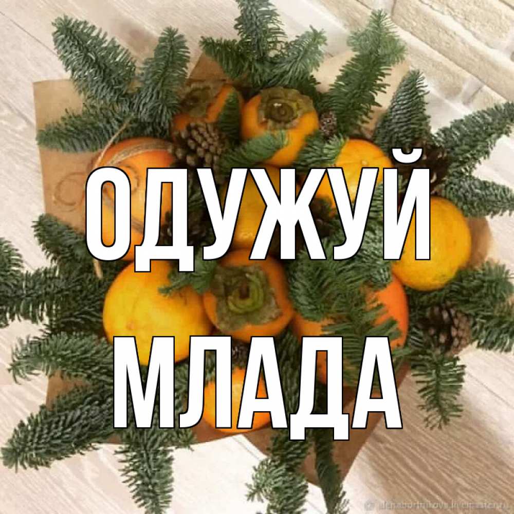 Открытка на каждый день з підписом, Млада Одужуй апельсины и хурьма Прикольна листівка з побажанням онлайн скачати безкоштовно 