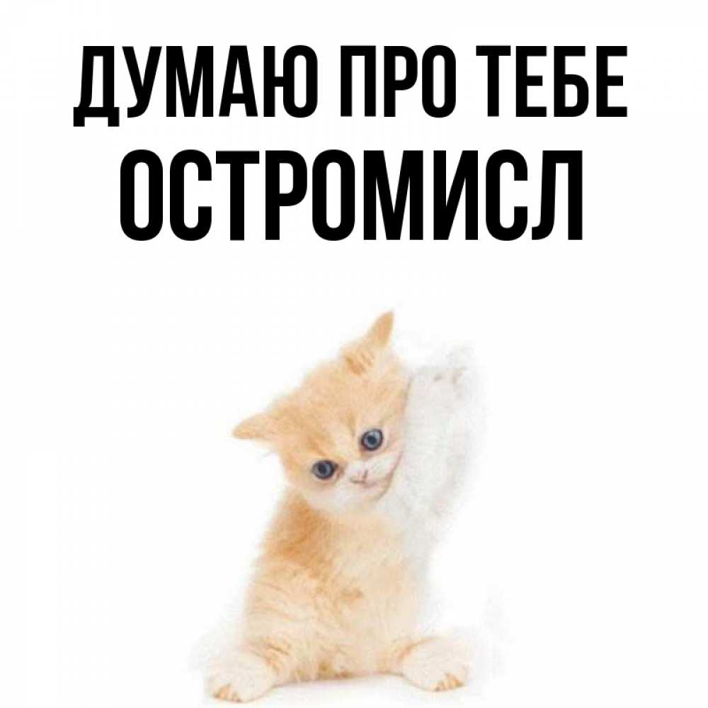 Открытка на каждый день з підписом, Остромисл Думаю про тебе зверушки и милота Прикольна листівка з побажанням онлайн скачати безкоштовно 