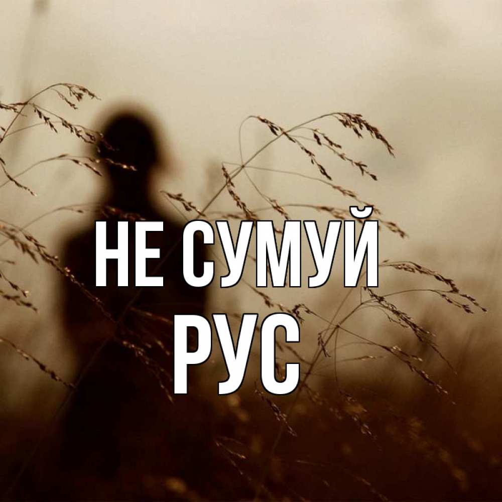 Открытка на каждый день з підписом, Рус Не сумуй грусть Прикольна листівка з побажанням онлайн скачати безкоштовно 