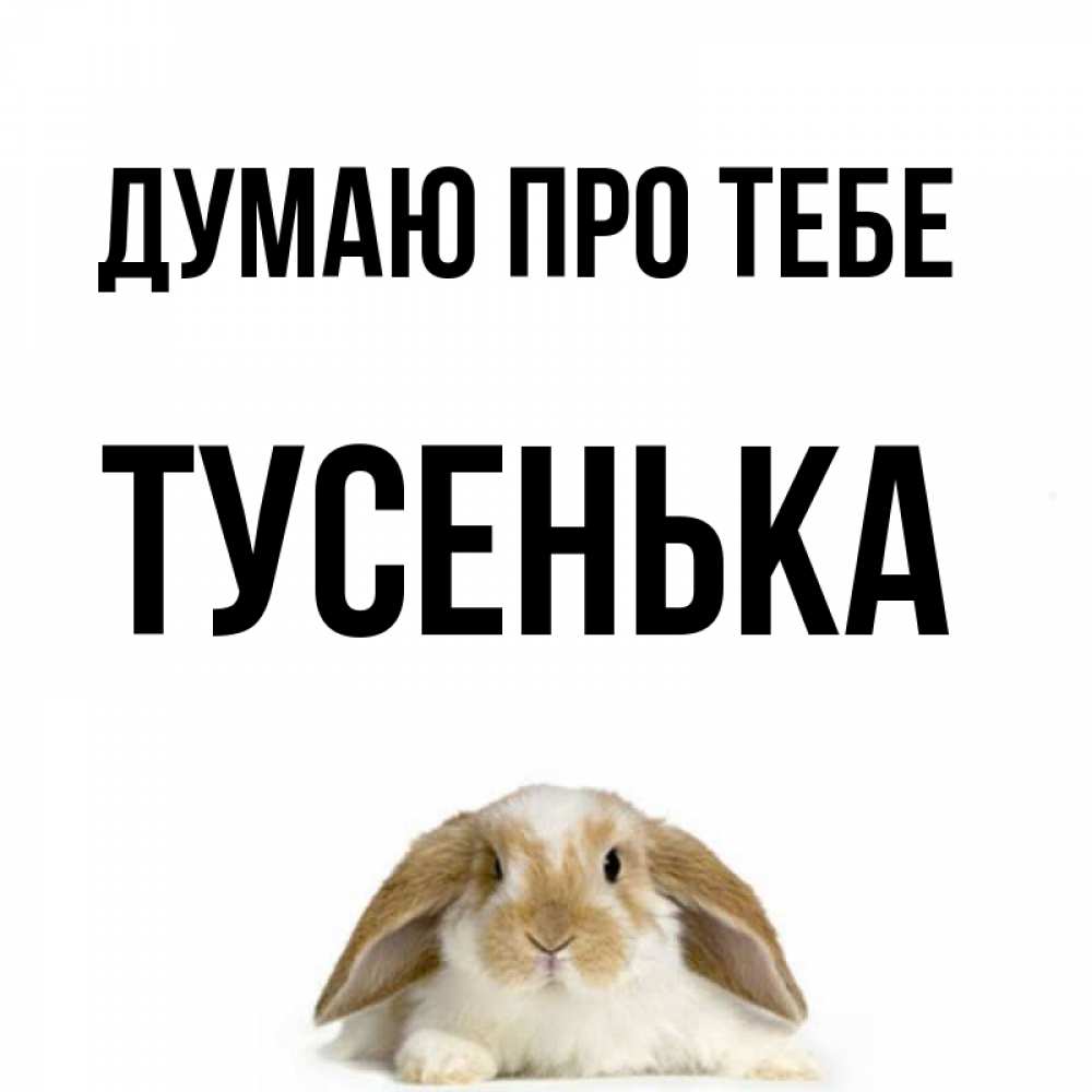 Открытка на каждый день з підписом, Тусенька Думаю про тебе подписать своими руками онлайн Прикольна листівка з побажанням онлайн скачати безкоштовно 