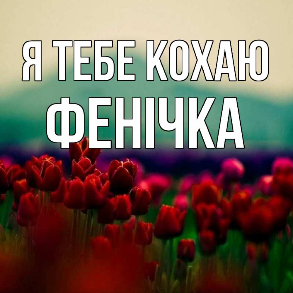 Открытка на каждый день з підписом, Фенічка Я тебе кохаю тюльпаны 4 Прикольна листівка з побажанням онлайн скачати безкоштовно 