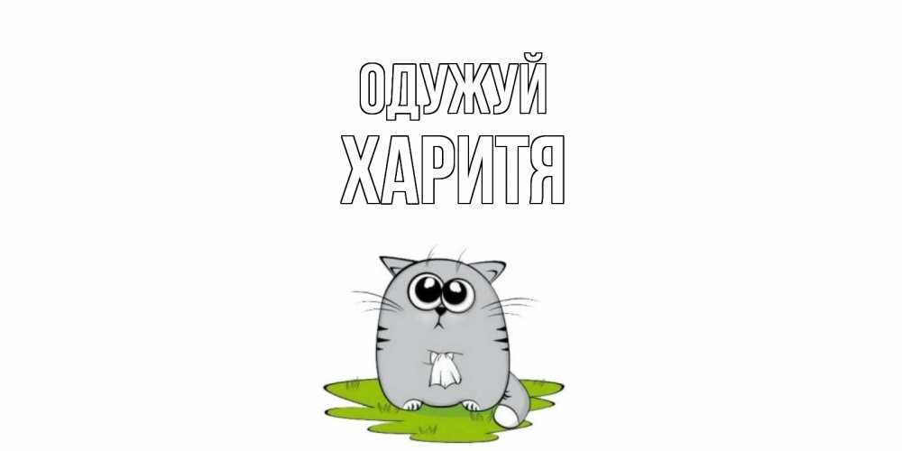 Открытка на каждый день з підписом, Харитя Одужуй кот и открытки про выздоровление Прикольна листівка з побажанням онлайн скачати безкоштовно 