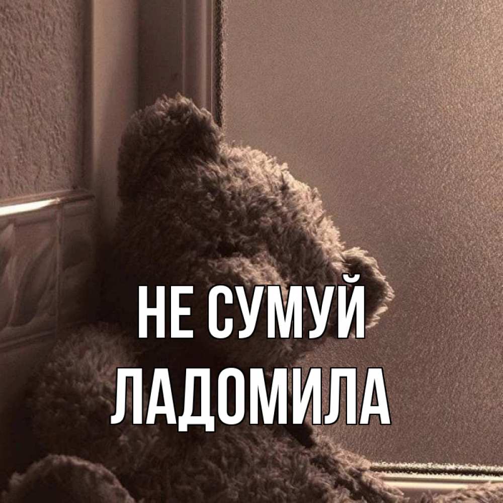 Открытка на каждый день з підписом, Ладомила Не сумуй стекол рефленое Прикольна листівка з побажанням онлайн скачати безкоштовно 