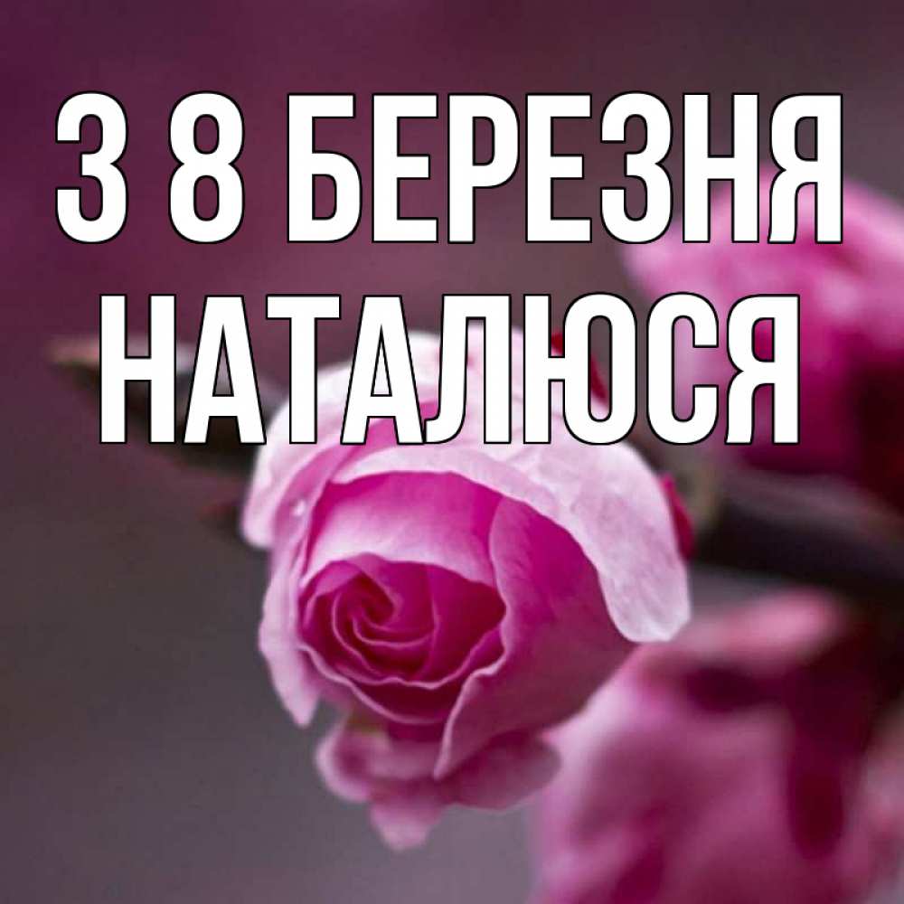 Открытка на каждый день з підписом, Наталюся З 8 БЕРЕЗНЯ весна Прикольна листівка з побажанням онлайн скачати безкоштовно 