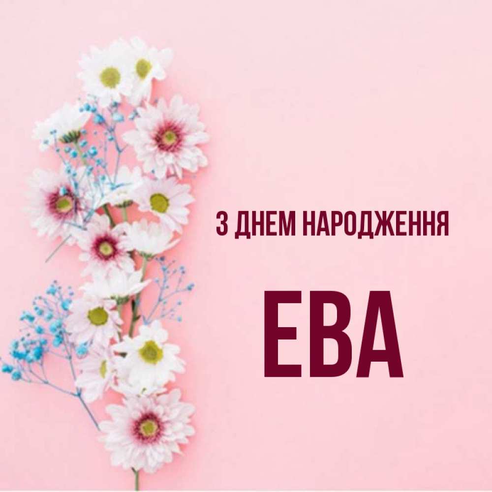 Открытка на каждый день з підписом, Ева З Днем народження Родная моя с днем рождения тебя картинка с цветами белыми и голубыми Прикольна листівка з побажанням онлайн скачати безкоштовно 