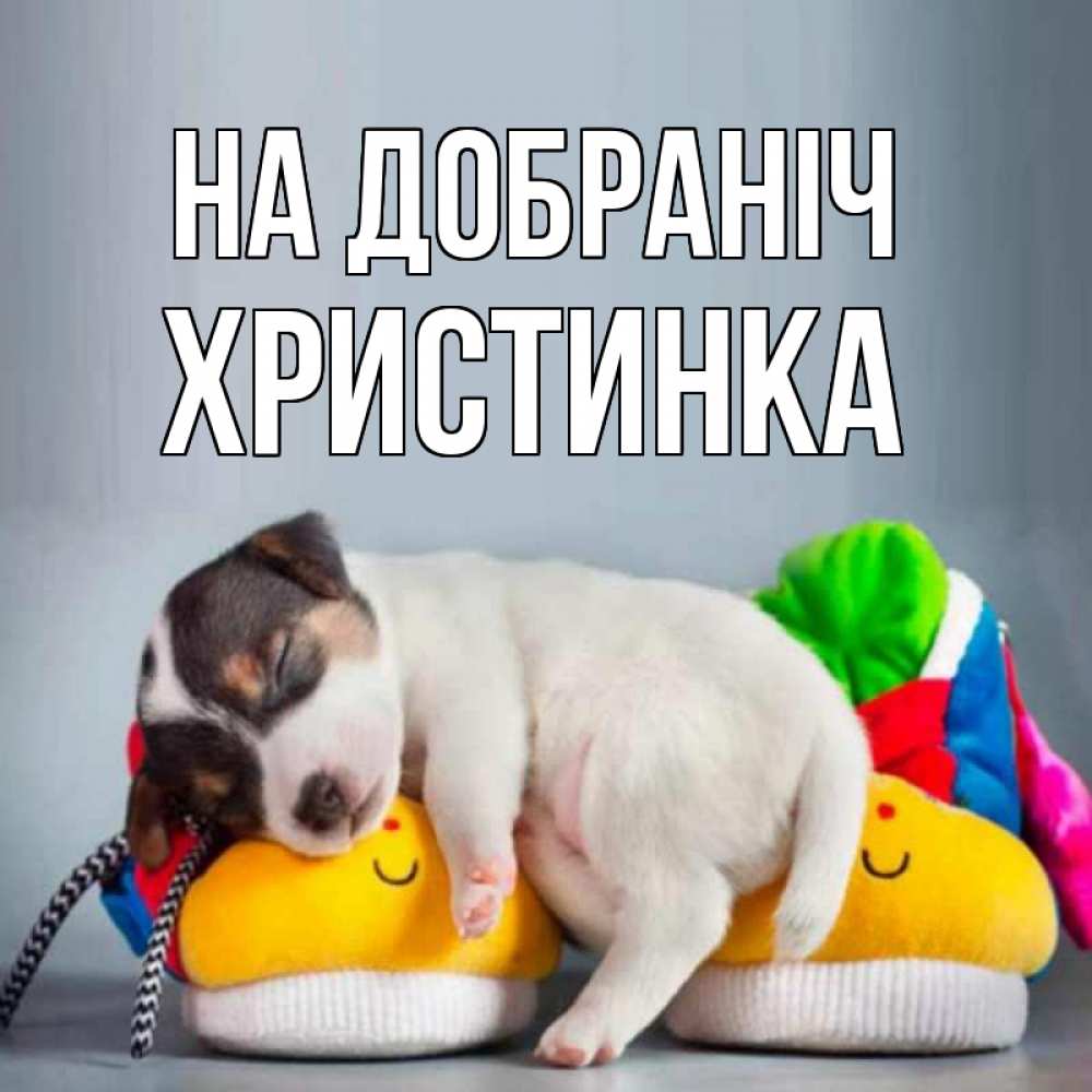 Открытка на каждый день з підписом, Христинка На добраніч собачка Прикольна листівка з побажанням онлайн скачати безкоштовно 