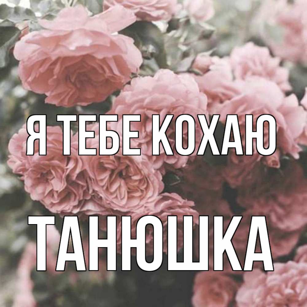 Открытка на каждый день з підписом, Танюшка Я тебе кохаю розы 3 Прикольна листівка з побажанням онлайн скачати безкоштовно 